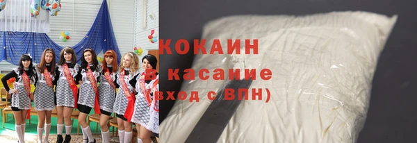 Альфа ПВП Пересвет