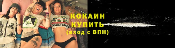Альфа ПВП Пересвет