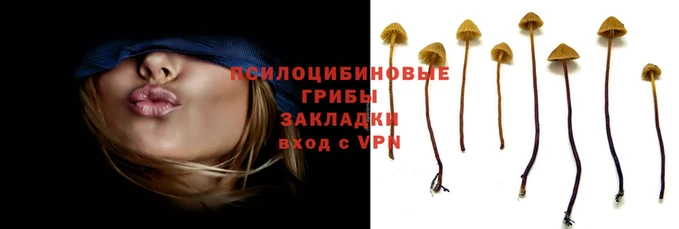 Альфа ПВП Пересвет