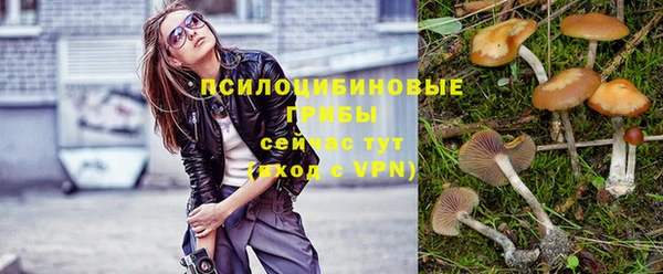 Альфа ПВП Пересвет