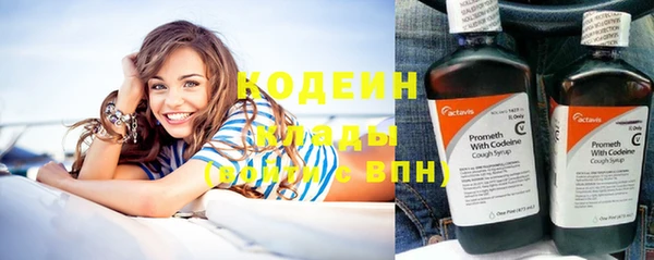 индика Покровск