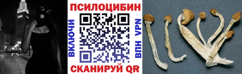 Галлюциногенные грибы Magic Shrooms  Ртищево 