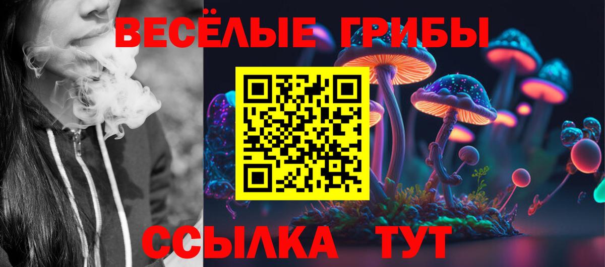 Ртищево  Галлюциногенные грибы Psilocybine cubensis  Вход с VPN 